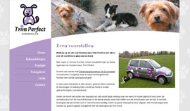 goedkope website